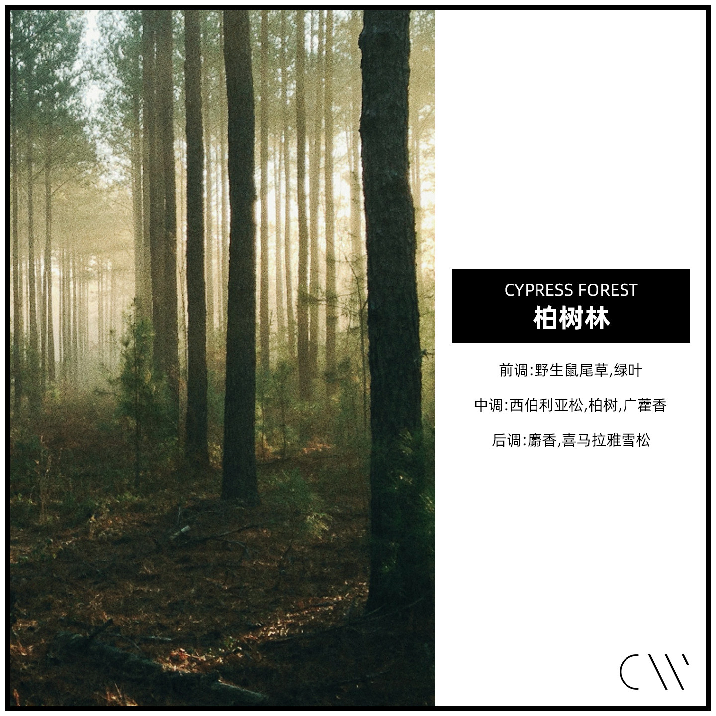 柏树林 CANDLEWORKS香薰精油香薰蜡烛DIY材料香精香料 4组_虎窝淘