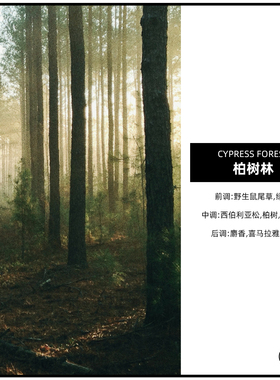 柏树林 CANDLEWORKS香薰精油香薰蜡烛DIY材料香精香料 4组