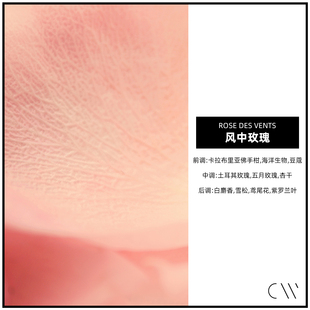 风中玫瑰 CANDLEWORKS香薰精油香薰蜡烛DIY材料香精香料 4组