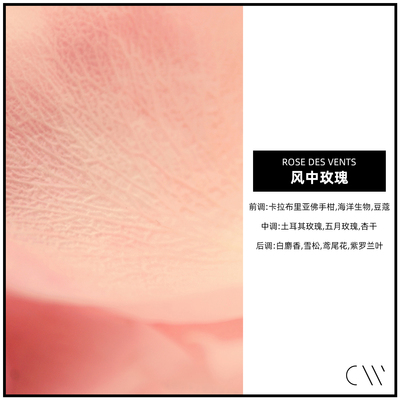 风中玫瑰CANDLEWORKS香薰精油