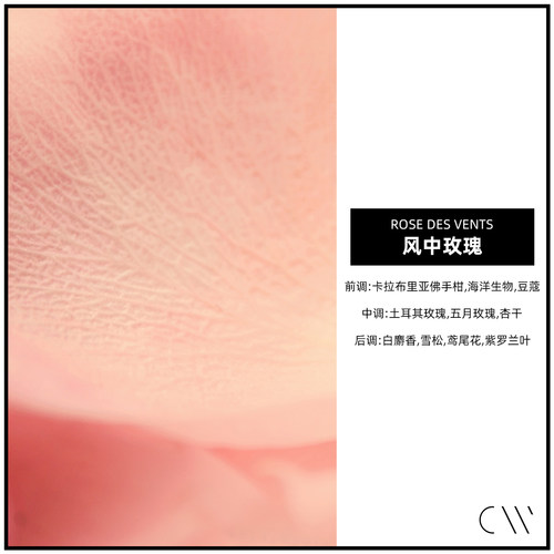 风中玫瑰CANDLEWORKS香薰精油