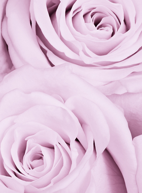 【玫瑰之水】CANDLEWORKS香薰精油香薰蜡烛DIY材料香精香料1组