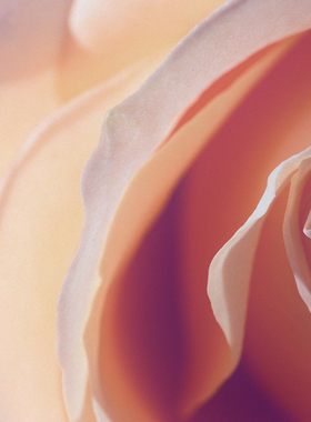 【可可小姐】CANDLEWORKS香薰精油香薰蜡烛DIY材料香精香料1组