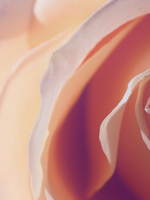 【可可小姐】CANDLEWORKS精油