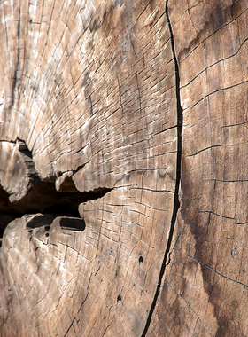 【檀香】CANDLEWORKS香薰精油香薰蜡烛DIY材料蜡烛香精香料2组