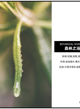 森林之浴 CANDLEWORKS香薰精油香薰蜡烛DIY材料香精香料5组