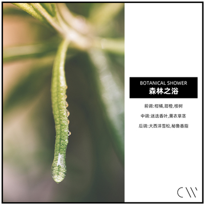 森林之浴CANDLEWORKS香薰精油