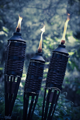 【香茅】CANDLEWORKS香薰精油