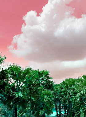 【甘蔗和香草兰】CANDLEWORKS香薰精油香薰蜡烛DIY材料香精香料5