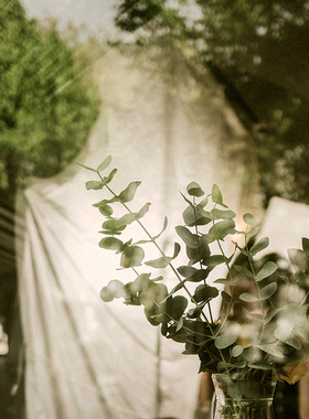 【SANTAL33】CANDLEWORKS香薰精油香薰蜡烛DIY材料香精香料4组