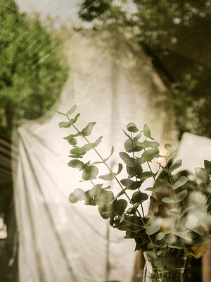 【SANTAL33】CANDLEWORKS香精油