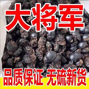 野生整个药用大将军中药材正品野生屎壳郎大个蜣螂虫干清水推粪虫