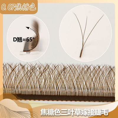 焦糖色三叶草嫁接假睫毛不散根