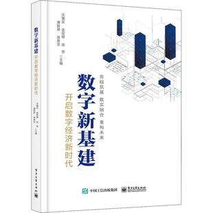 数字新基建：开启数字经济书沈寓实 经济书籍
