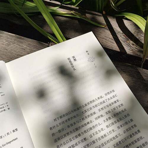 正念地活:拥抱当下的力量:mindfulness and why it is so important书乔恩·卡巴金_  生活休闲书籍