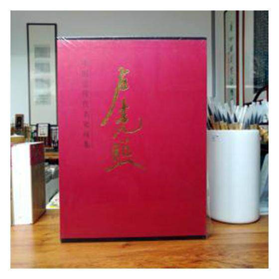 中国现代名家画集-卢光照书卢光照绘绘画作品集中国现代 艺术书籍
