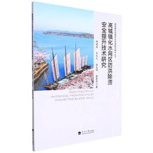 高城镇化水网区防洪除涝提升技术研究书何建兵  建筑书籍
