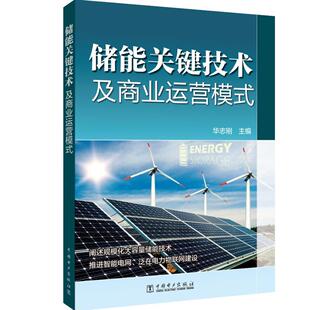 储能关键技术及商业运营模式书华志刚储能产业发展研究报告中国 工业技术书籍