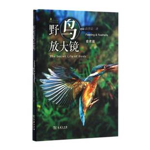 feathers书许晋荣野生动物鸟类普及读物 野鸟放大镜 Feeding 自然科学书籍 食衣篇