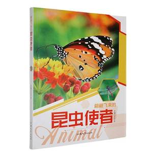 自然科学书籍 翩翩飞来 昆虫使者 四色 书王子安
