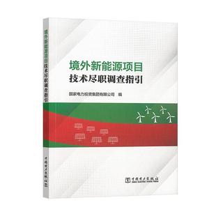 境外新能源项目技术尽职调查书国家电力投资集团有限公司电力工业工业企业新能源对外投资从事新能源项目资产并购尽职调查经济书籍