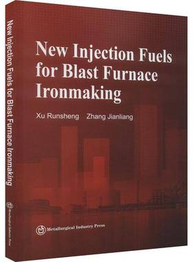 New Injection Fuels for Blast Furnace Ironm书  工业技术书籍