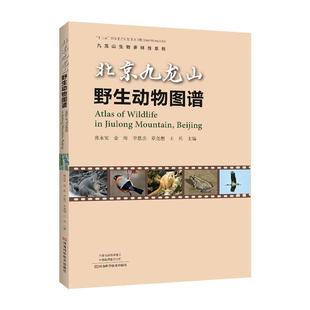 北京九龙山野生动物图谱书张永安 自然科学书籍