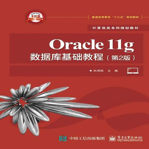 Oracle 11g数据库基础教程书孙风栋关系数据库系统高等学校教材 考试书籍