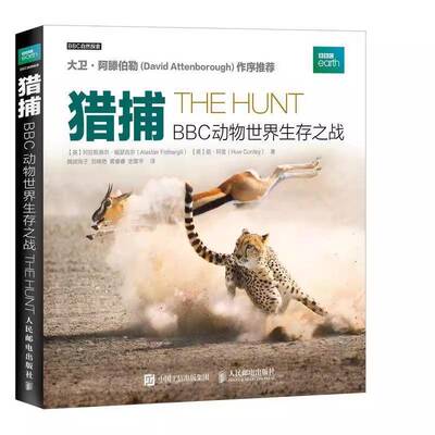 猎捕:动物世界生存之战书阿拉斯泰尔·福瑟吉尔  图书书籍