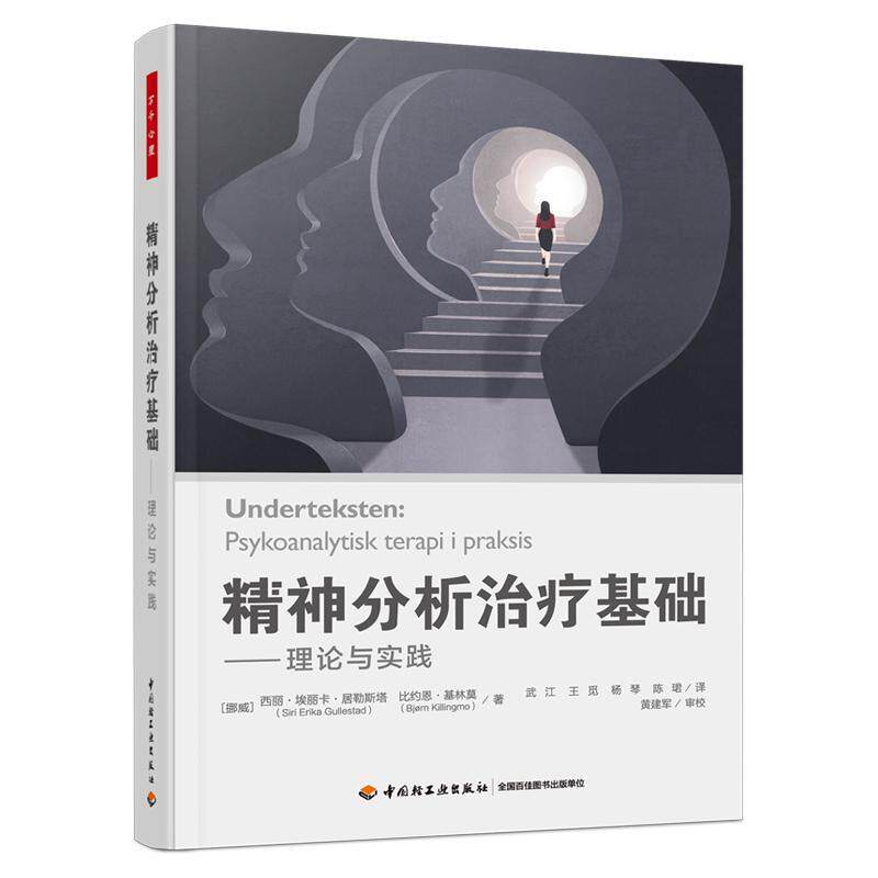 精神分析基础:理论与实践书西丽·埃丽卡·居勒斯塔  社会科学书籍