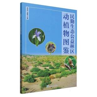 民勤生态公益林区动植物图鉴书本书写组 自然科学书籍