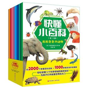 快懂小百科（全12册）书奥菲斯图书公司  儿童读物书籍