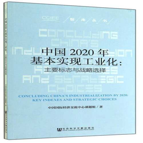 中国2020年基本实现工业化:主要标志与战略选择:key indexes 书中国国际经济交流中心课题组工业化工业发展战略研究中国 经济书籍