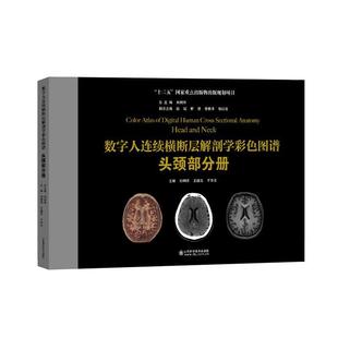 neck书刘树 数字人连续横断层解剖学彩色图谱 and Head 医药卫生书籍 头颈部分册