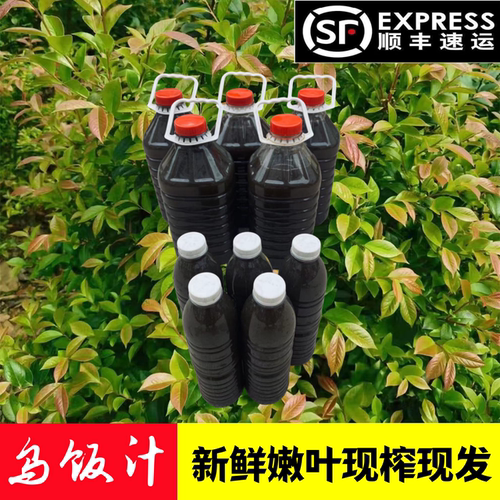 宜兴特产野生新鲜乌饭汁南烛叶汁乌饭草汁3斤4斤5斤包邮