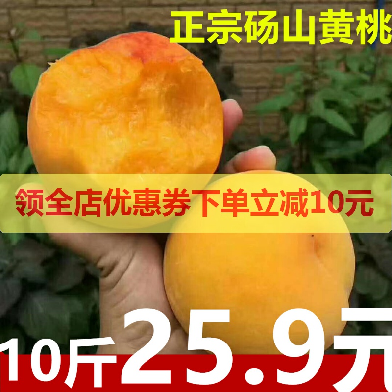 现摘现发10斤黄桃新鲜水果当季整箱包邮应季水蜜时令砀山桃子
