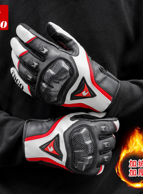摩托车冬季手套碳纤维全指机车骑行防摔男士骑士护具四季通用