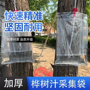 桦树汁采集袋野外水质采样袋景区街道食品级蓄水挂耳式树汁采集袋