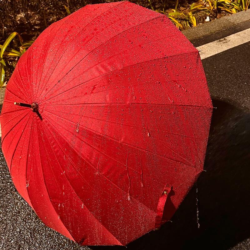 红色雨伞24骨长柄自动伞加大加厚加固抗风男女生高颜值大号双厂家