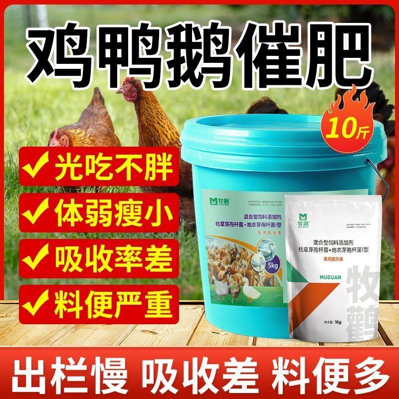 肉鸡兽用催肥增重猛长剂鸡鸭鹅鸽禽用增采食开胃促生长饲料添厂家
