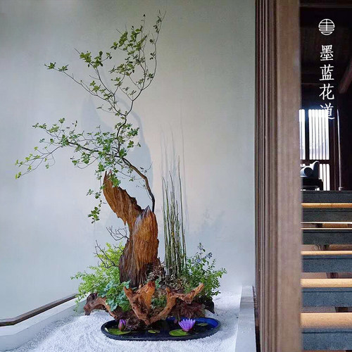 墨蓝花器道空间花艺花艺布置