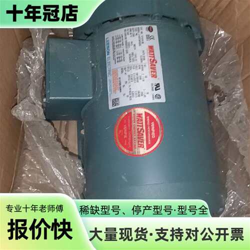 议价美国利森电动机C145T34FB33C 议可维修翻新