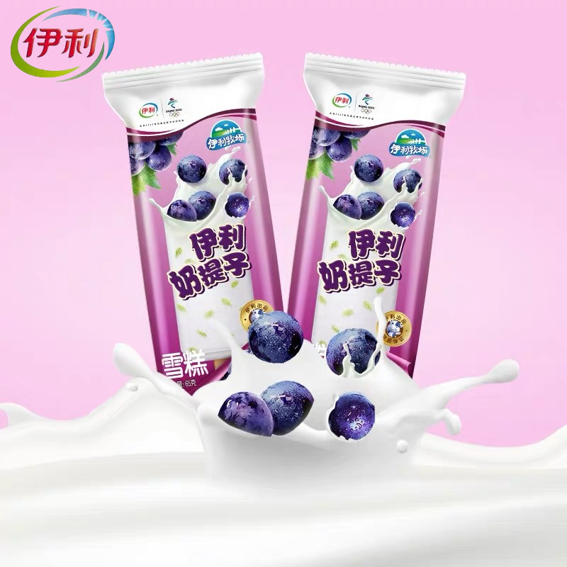 伊利奶提子雪糕冰淇淋牛奶味葡萄干棒冰65g*5支