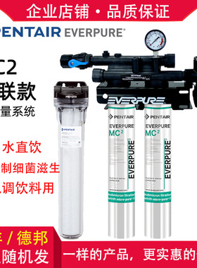 爱惠浦MC2双联净水器 大流量双主滤芯套装商用净水器饮料店直饮水