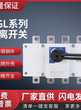 负荷隔离开关 HGL-250/4P  切换开关 柜内柜外 紫铜 手动转换开关