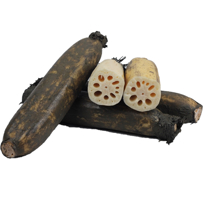 新上市燃气高压锅煲汤粉藕