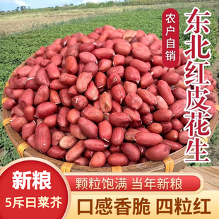 精选红皮新花生米新货农家自产四粒花生仁无壳下酒菜 镇店之宝