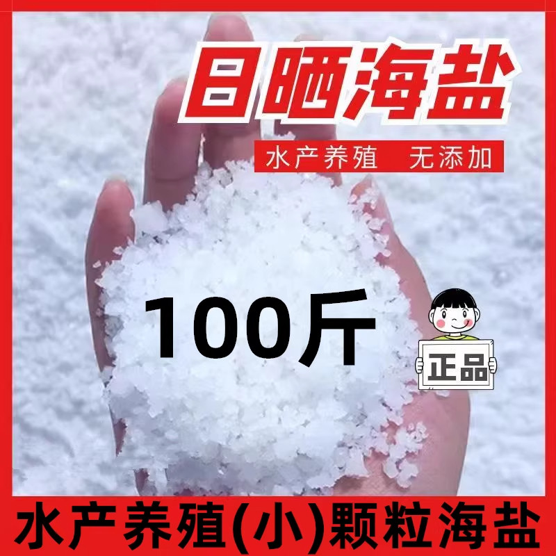 日晒海盐100斤精制工业盐工业级细颗粒99含量无水氯化钠中盐海盐