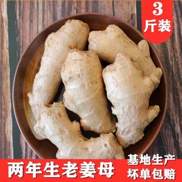 生姜老姜新鲜黄姜山东大姜风干姜月子姜生姜块老姜母现挖5斤包邮
