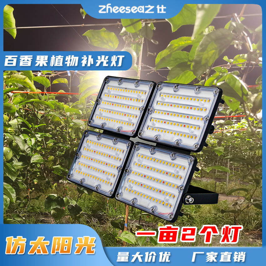 百香果补光灯促进生长调节花期